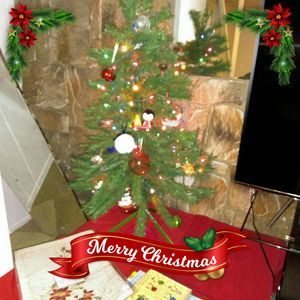 Meet your Posher, Belinda